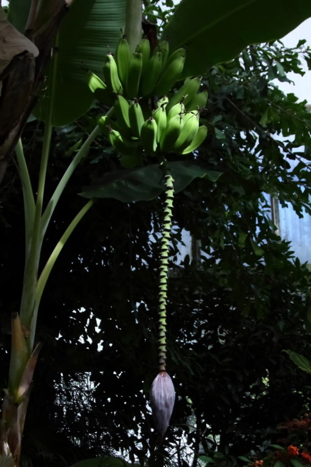 2012 09 23 9999 87